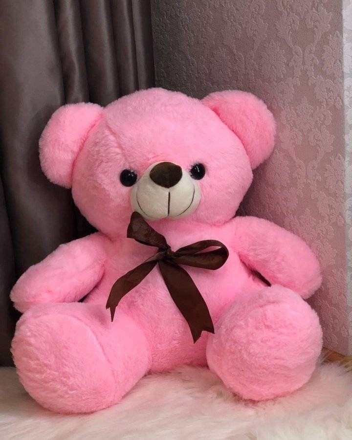 Teddy Bear 60Cm